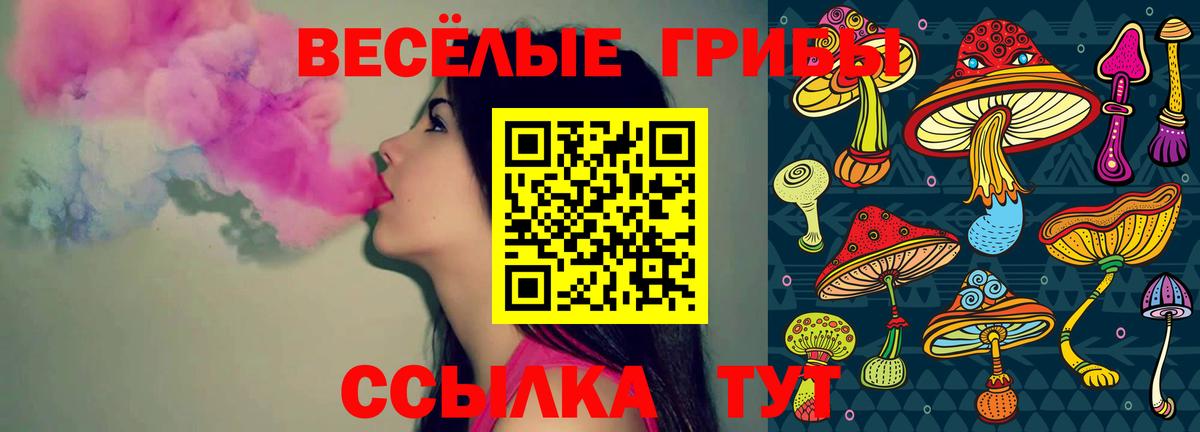 Псилоцибиновые грибы ЛСД  Вход с VPN  Галлюциногенные грибы Cubensis  Заволжье 